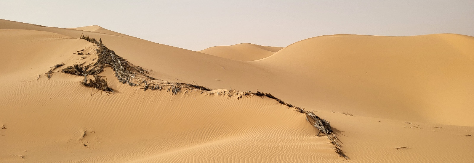 Enduro tour in Algeria #2 - Oases