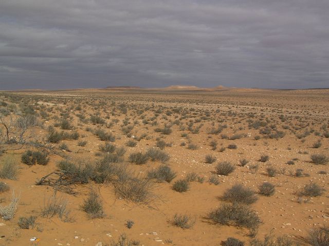 Desert Soul Adventures | PASTA, PEPSI, FLIES AND SAND, ALSO WITH PASTA ...